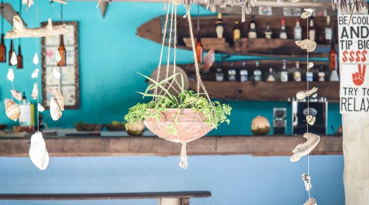 New Teddy's on the Beach