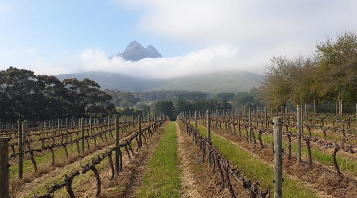 Mitre's Edge Wine Estate