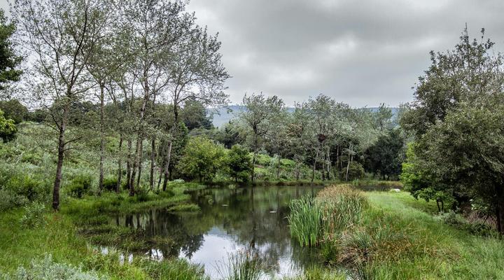 Katrinasrust Country Estate