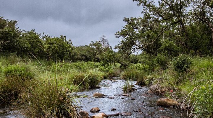 Katrinasrust Country Estate