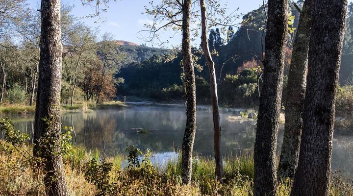 Katrinasrust Country Estate