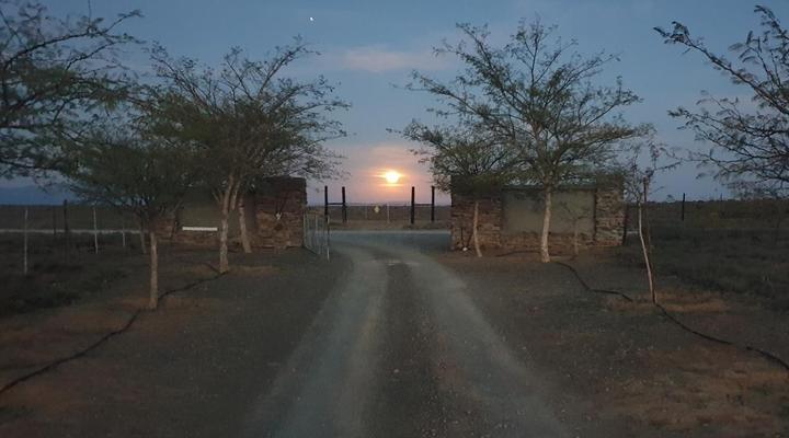 Turksvygrivier Safari's