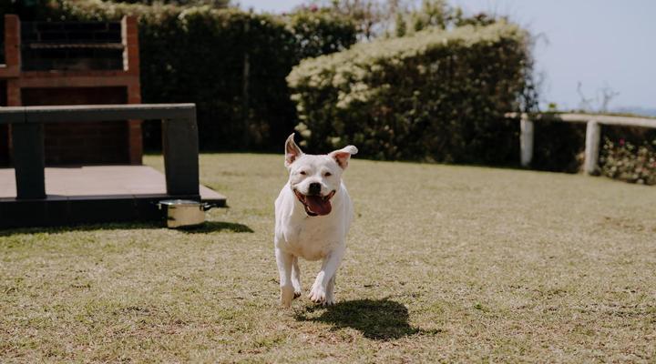 Barefoot Beach House