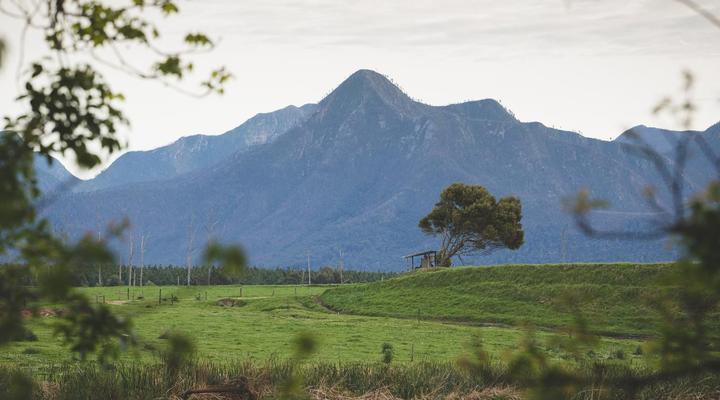 Misty Mountain Reserve
