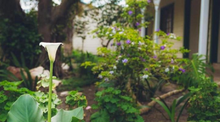 Victoria & Alfred Guest House