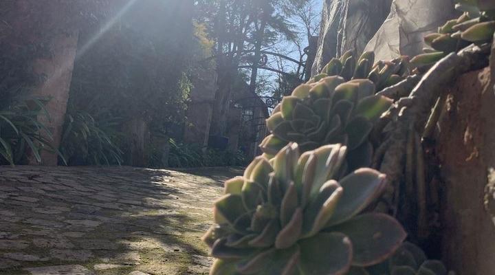 Avara Boutique Venue and Guesthouse