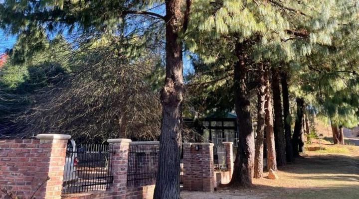 Two White Oaks - Luxury prefab bungalows