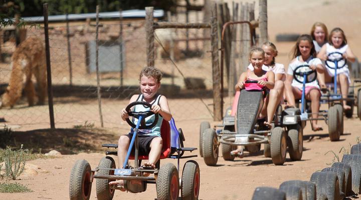 Wilgewandel Holiday Farm