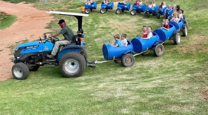 Wilgewandel Holiday Farm