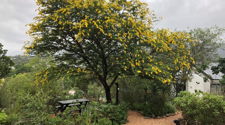 Mountain View Swellendam
