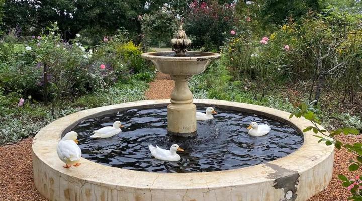 Zeekoegat Historical Homestead