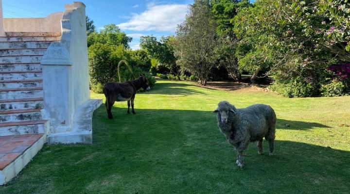 Zeekoegat Historical Homestead