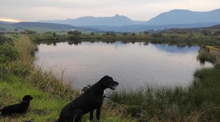 Zeekoegat Historical Homestead
