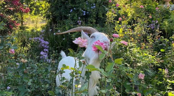 Zeekoegat Historical Homestead