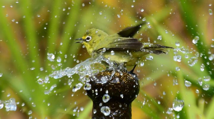 Afrique Boutique Hotel