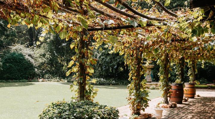 Casalinga La Casa and Restaurant