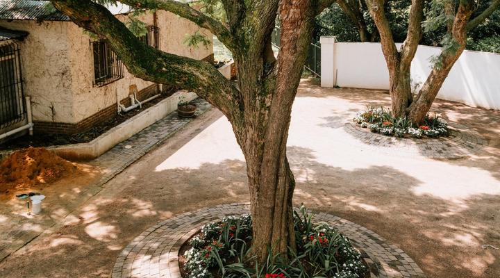 Casalinga La Casa and Restaurant