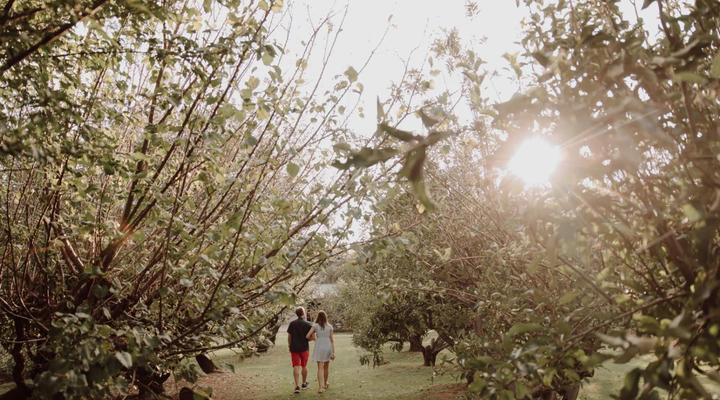 Casalinga La Casa and Restaurant