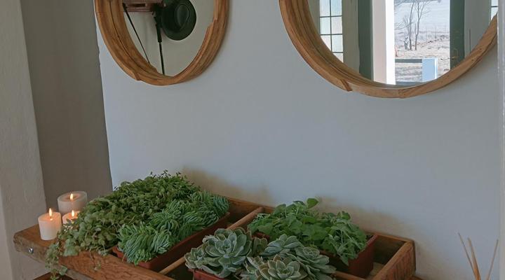 Kapokbos Gaste Plaas