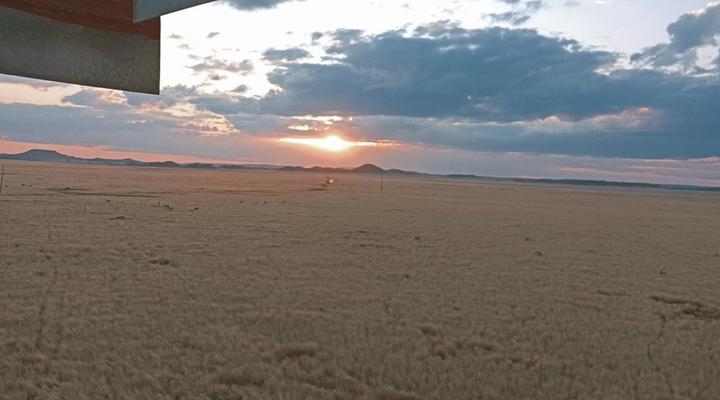 Kapokbos Gaste Plaas