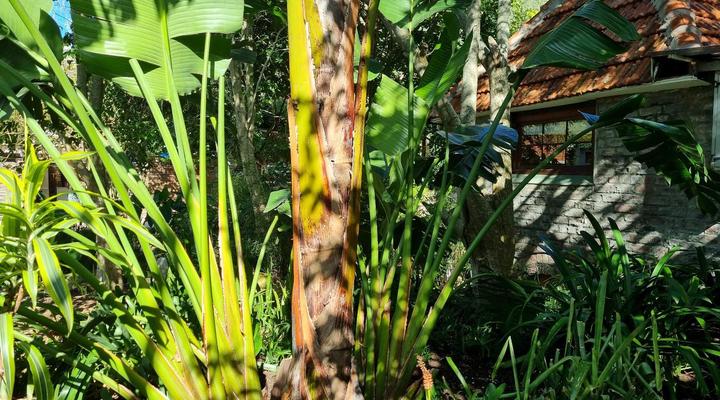 Schuilhoek Garden Terraces - Self Catering