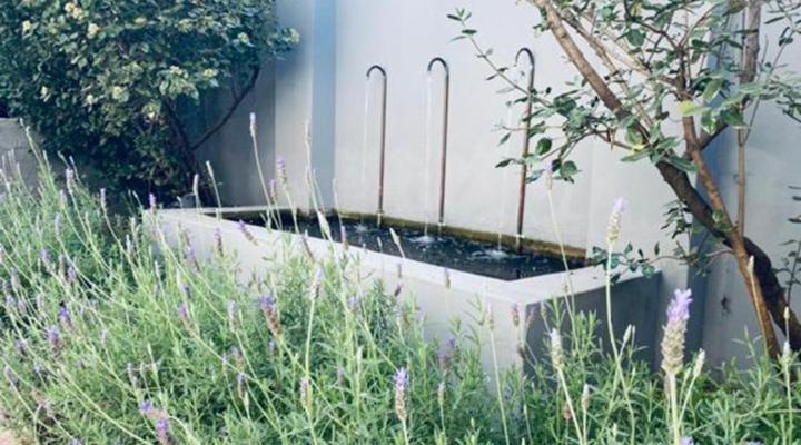 46 on Allcock Street