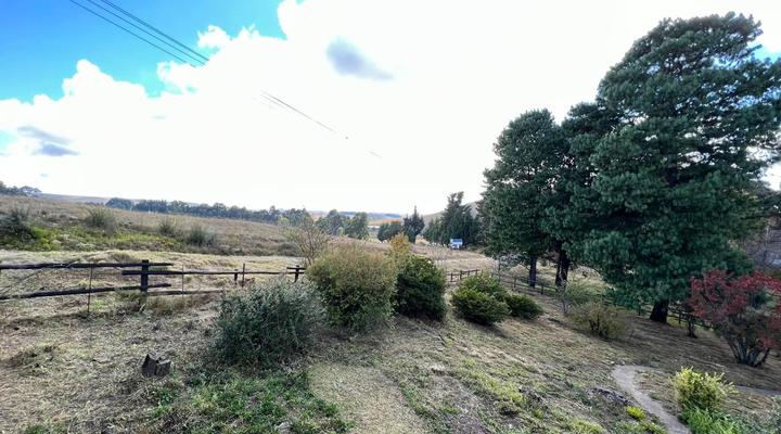 The Hedge at Dullstroom Cottage