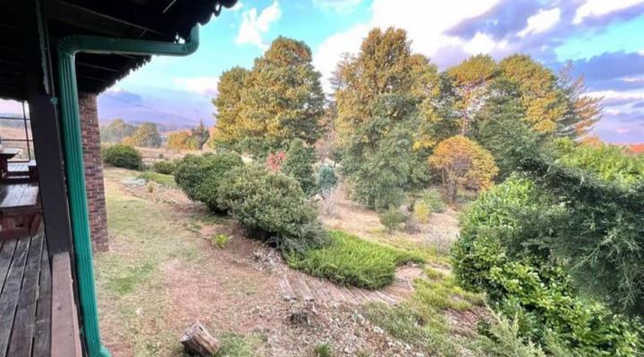 The Hedge at Dullstroom Cottage