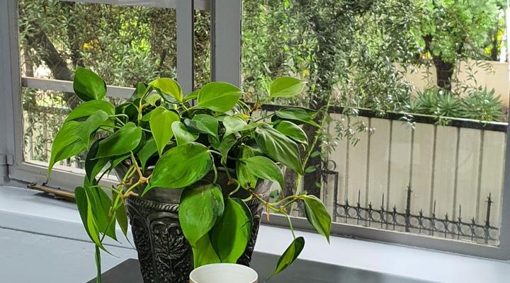 Victorious on Whites rd