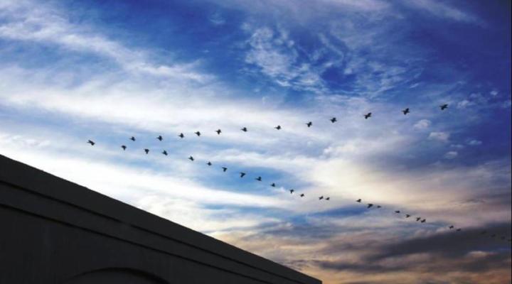 Casa Mia Guest House