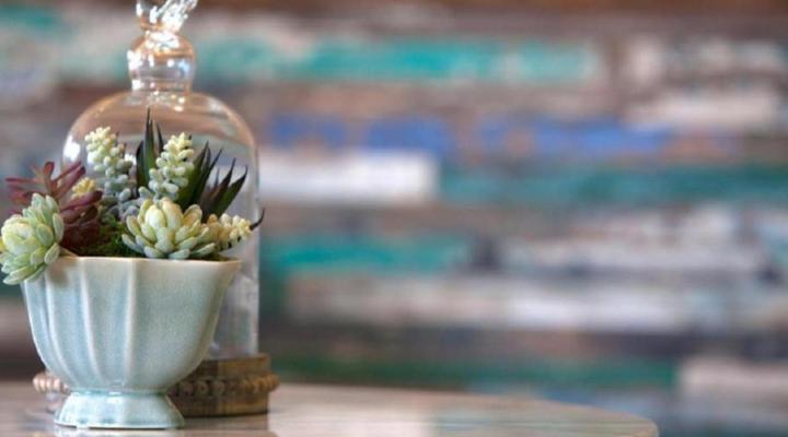 Hermanus Boutique Guesthouse