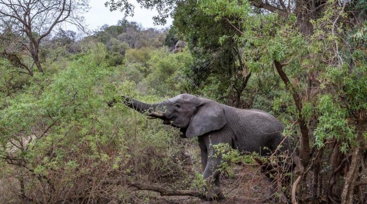 Entabeni Hospitality