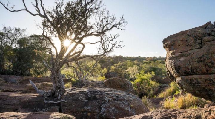 Entabeni Hospitality