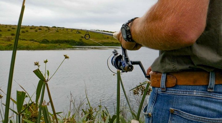 Tala Collection Private Game Reserve