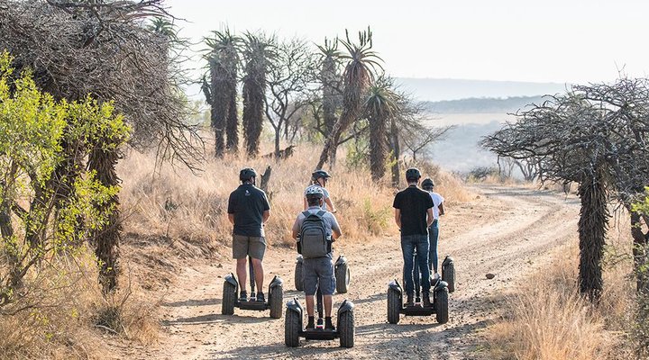 Tala Collection Private Game Reserve