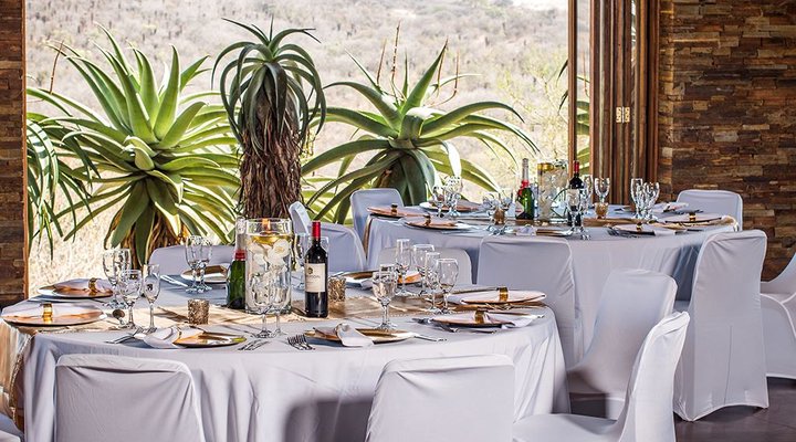 Tala Collection Private Game Reserve