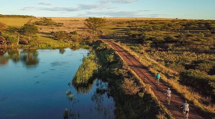 Tala Collection Private Game Reserve