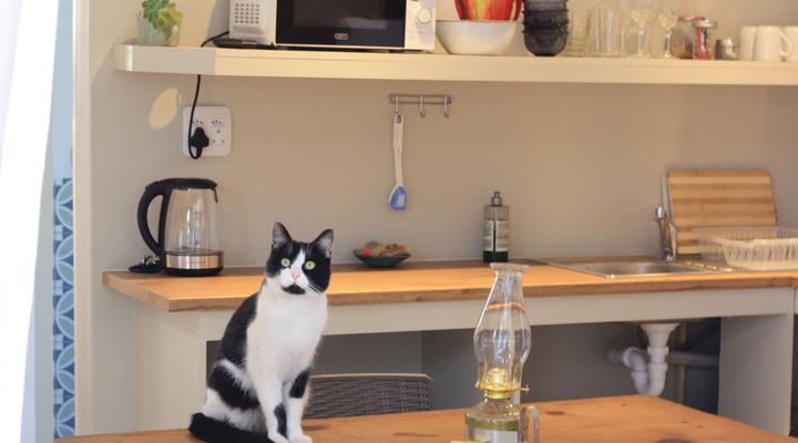 Sarah's Place - Studio 4