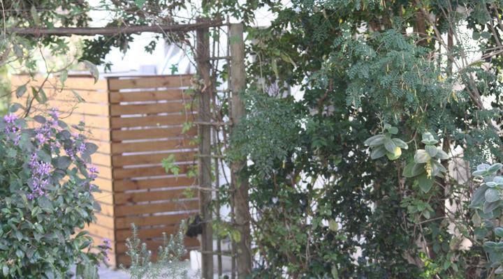 Sarah's Place - Studio 4