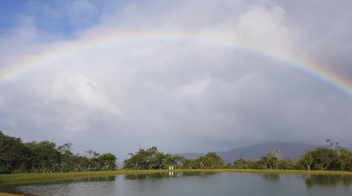 Mount Sheba Rainforest Hotel & Resort