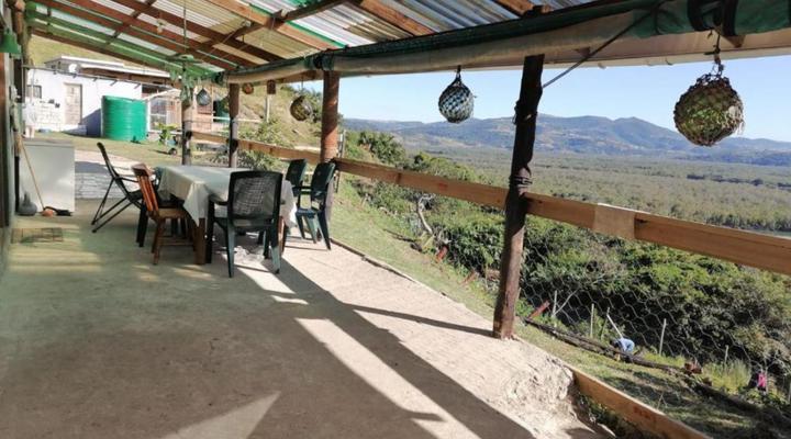 Downtown Accommodation and Fisheries