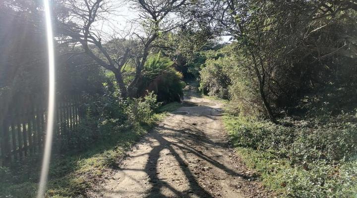 Downtown Accommodation and Fisheries