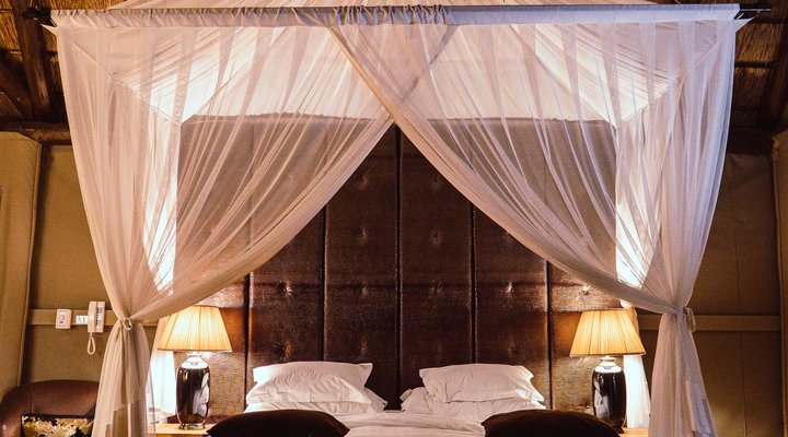 The Bush Lodge - Amakhala Game Reserve