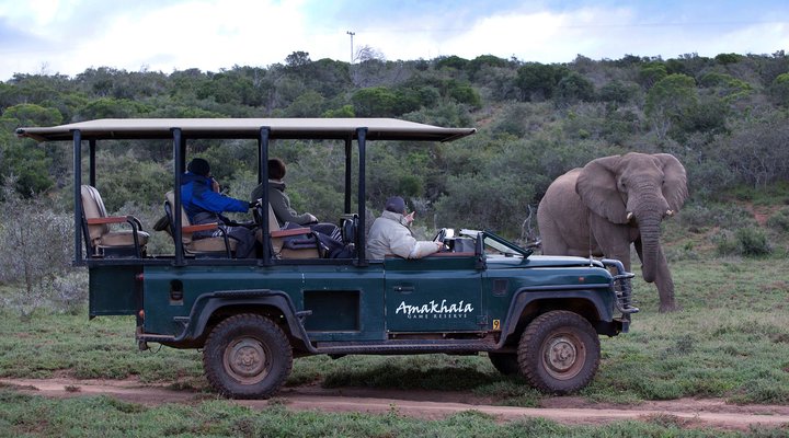 The Bush Lodge - Amakhala Game Reserve