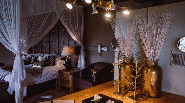 The Bush Lodge - Amakhala Game Reserve