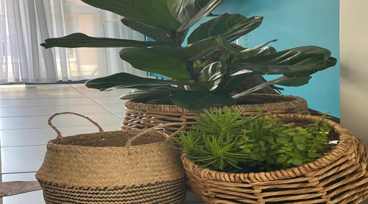 Ballito Hills Block 14 Apartment 101