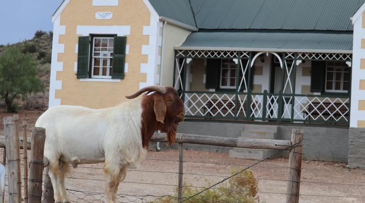 Kleingeluk Guest Farm