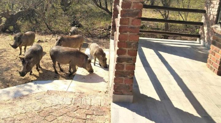 Villa de Leeu, Perfect for Two!