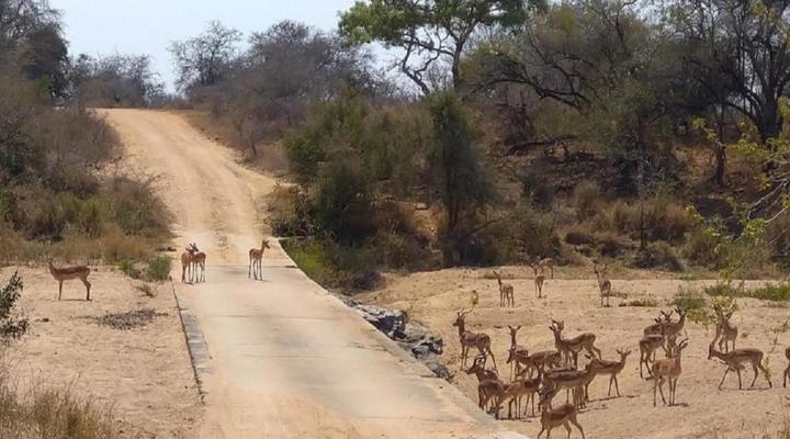 Villa de Leeu, Perfect for Two!