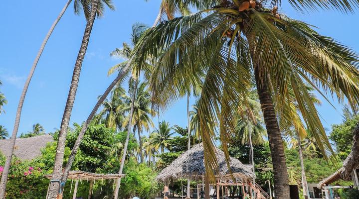 New Teddy's on the Beach